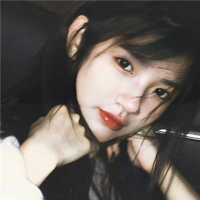 猫狗大战：珍珠猫大反扑